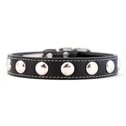 Silver Studded Collars