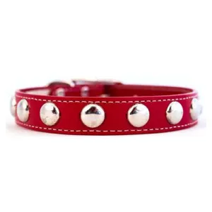 Silver Studded Collars